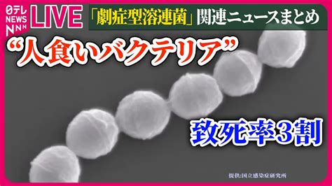 【劇症型溶連菌まとめ】“人食い”の異名も 致死率3割「劇症型溶連菌」の感染 過去最多ペース など ニュースまとめライブ（日テレnews