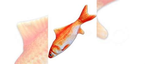 Petshop игрушки игрушка для кошек "Золотая ры купить в Санкт-Петербурге ...