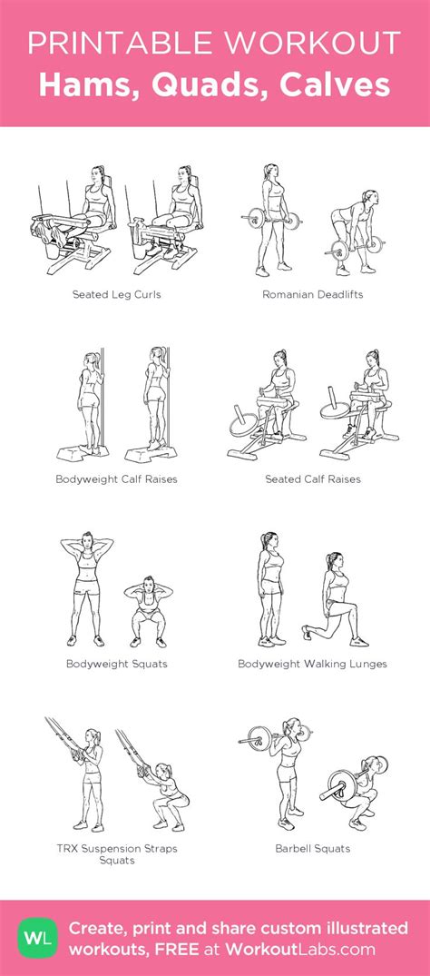 Hams Quads Calves Illustrated Exercise Plan Created At Workoutlabs