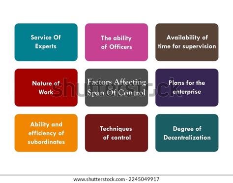 Eight Factors Affecting Span Control Infographic Stock Vector (Royalty ...