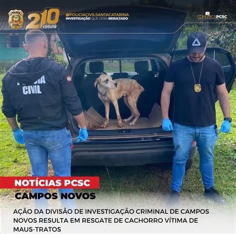 Polícia Civil resgata animal vítima de maus tratos Jornal O Celeiro