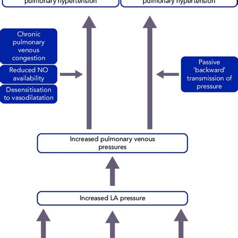 Definition Of Pulmonary Hypertension Download Scientific Diagram