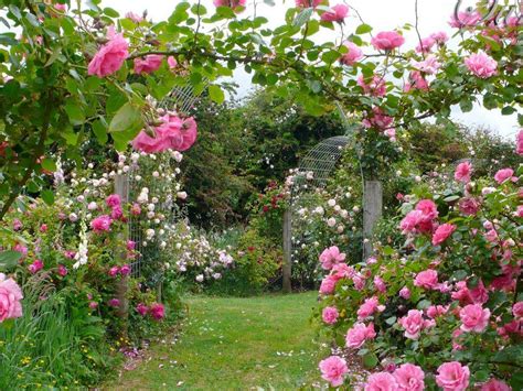 Rose Garden Wallpapers - Top Free Rose Garden Backgrounds - WallpaperAccess