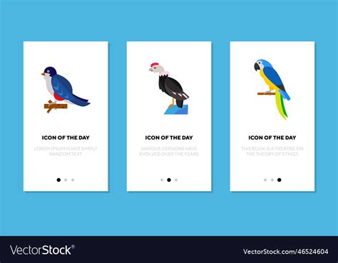 Colorful bird flat icon set Royalty Free Vector Image