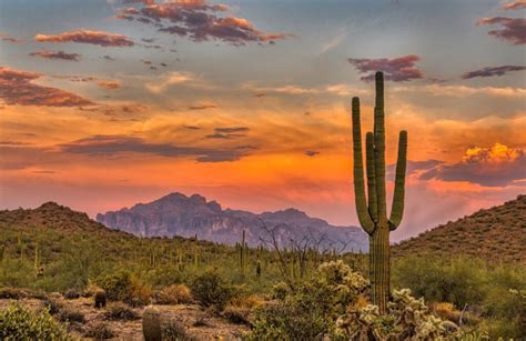 Top 10 Beginner Friendly Hikes Near Phoenix Arizona Travel Off Path