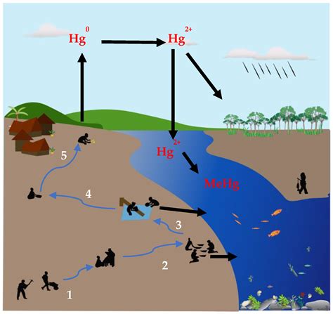 Ijerph Free Full Text Mercury Pollution From Artisanal And Small