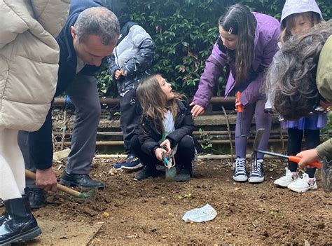 Eco School Primary Irmak Schools