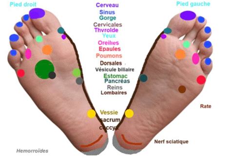 Réflexologie Plantaire Masser Les Pieds Et Calmer La Douleur