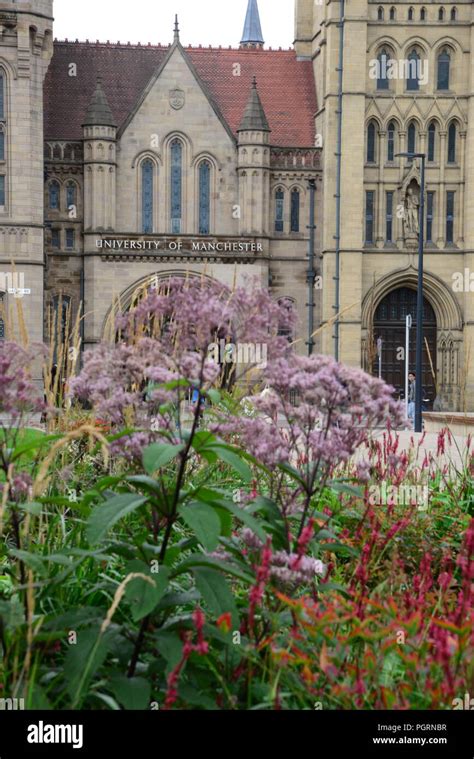 Manchester University Main Campus High Resolution Stock Photography and ...