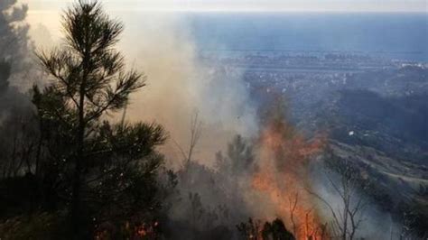 Domato Il Rogo Sulle Alture Di Pra Un Ferito Nellincendio Di Una