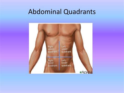 Right Upper Quadrant Diagram