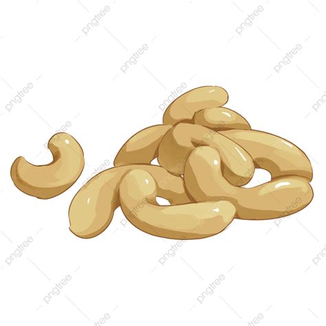 Cashew Nuts PNG Picture Cartoon Hand Painted Nuts And Cashews Cartoon