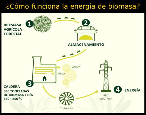 Como Funciona La Energia Biomasa Como Funciona Todo