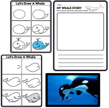 Directed Draw A Whale Ocean Writing Coloring Dot Marker Preschool