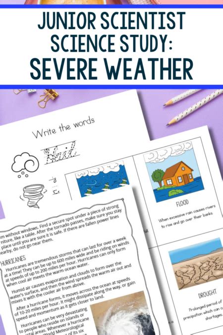 Junior Scientist Science Study: Volcanoes 