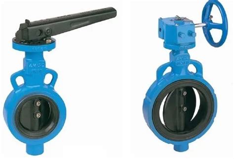 Ci Butterfly Valve Pn With Ss Disc Go Mm At Best Price In