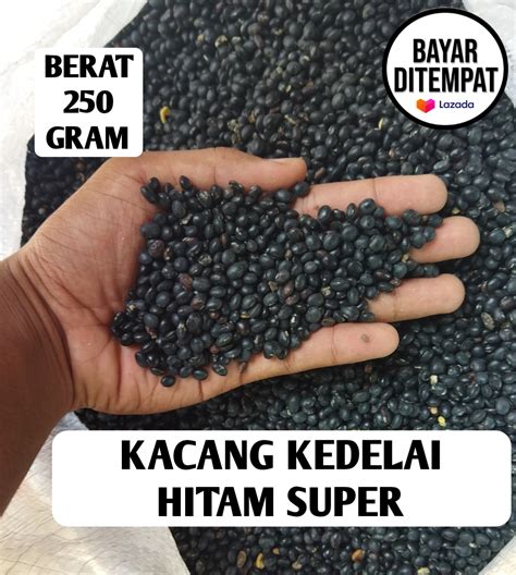 Kacang Kedelai Hitam Organik Kualitas Super Kacang Malikaberat 250