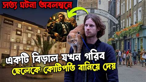 HOMELESS MAN BECOME A BILLIONAIRE BECAUSE OF A Street Cat Part 2