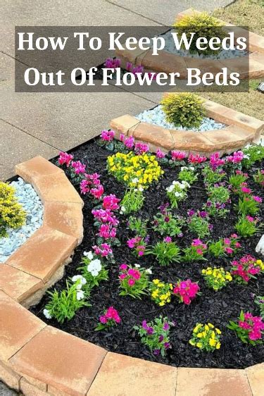 How To Keep Weeds Out Of Flower Beds Naturally Artofit