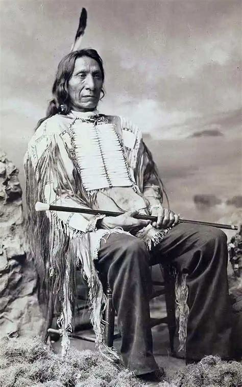 black hills sacred   lakota sioux