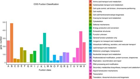 Distribution Of Genes Across COG Functional Categories In The