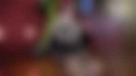 Bootjob Porn Tube Video Clips Clips4sale