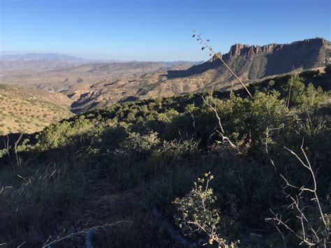 The Lost Dutchman Mine: Known Deposits and Direct Evidence of