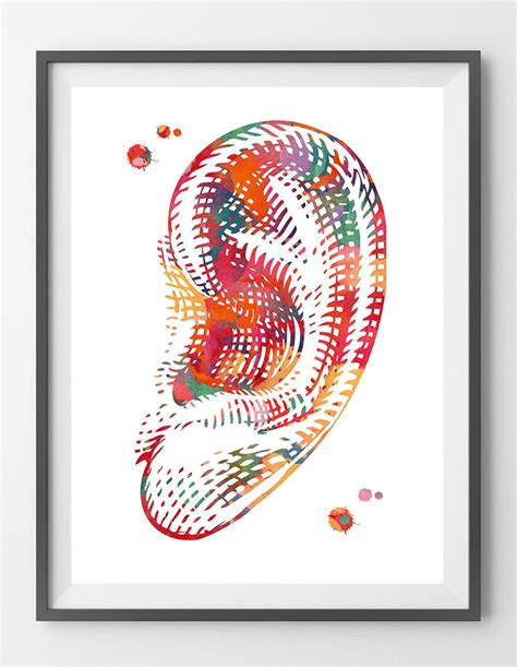 Audiology Art Print Ear Watercolor Anatomy Art Outer Ear Illustration Medical Art Audiologist