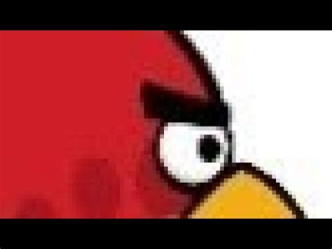 Pokodc Angry Birds Vs Paige S Dc Youtube