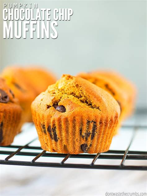 Pumpkin Chocolate Chip Muffins Don T Waste The Crumbs