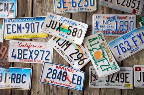 Florida unveils two new available license plates – Florida Insider