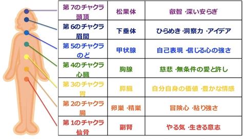 生命エネルギー波動測定ではチャクラのエネルギーも測定します 大阪堺市【心と体を軽くする 波動測定】全身のエネルギー（波動）を測定し