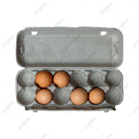 лоток для яиц PNG , яйца, Яйцо Png, ракушка PNG картинки и пнг PSD ...