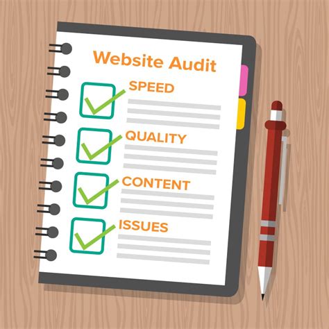 Performing Website Audit