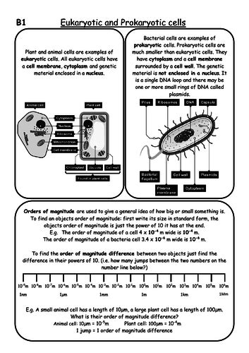 Aqa Gcse Biology Paper 1 Revision Notes Teaching Resources