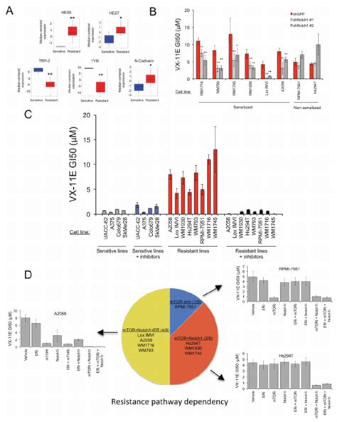 Simultaneous Co Inhibition Of Multiple Drug Resistance Pathways