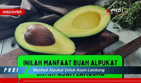 Ketahui 7 Manfaat Alpukat Untuk Asam Lambung Yang Jarang Diketahui