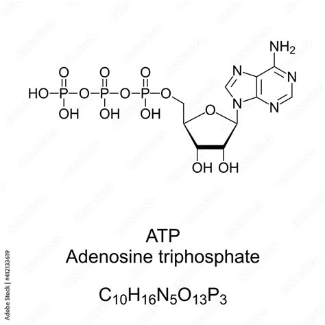 Stockvektorbilden Adenosine Triphosphate ATP Chemical Formula And