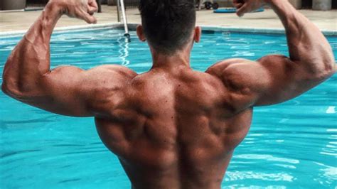 How To Get A Bigger Back Calisthenics Bar Brothers Youtube