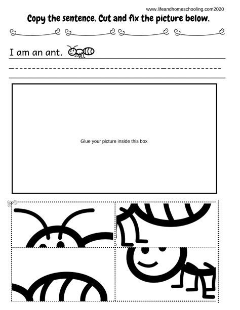 The 7 Continents Printable Activity - Made By Teachers