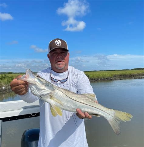 How To Catch Snook Fishing Charters Guides Trips