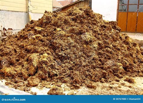 Big Pile Of Manure As Background Stock Photo Image Of Straw Barn