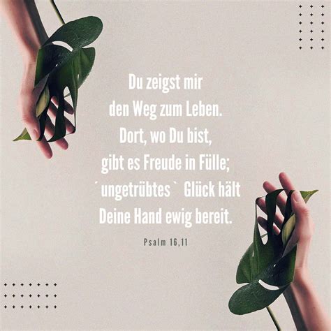 Psalm 16 11 Du zeigst mir den Weg der zum Leben führt Du beschenkst