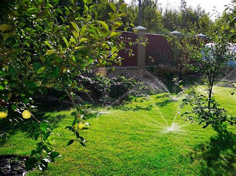 Услуги по уходу за садом в Воронеже | Студия Л. В. Рязанцевой