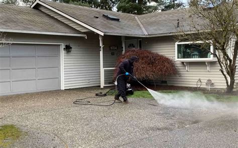 Moss Removal From Concrete Rainier Window And Gutter Cleaning