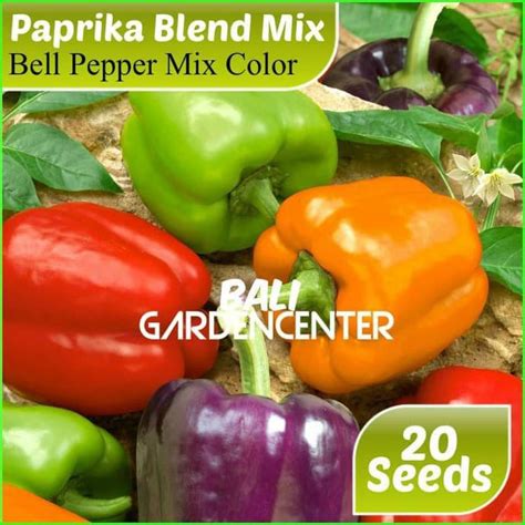 Jual Paket Benih Biji Bibit Buah Paprika Jenis Shopee Indonesia