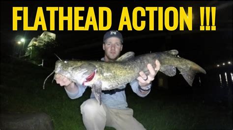 Fishing For FLATHEAD CATFISH With CUT BAIT Schuylkill River PA YouTube