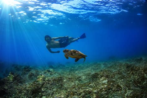 Best Snorkeling in Hawaii | Insider Families