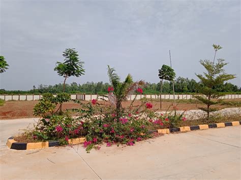 Residential Plot Sq Ft For Sale In Trichy Highways