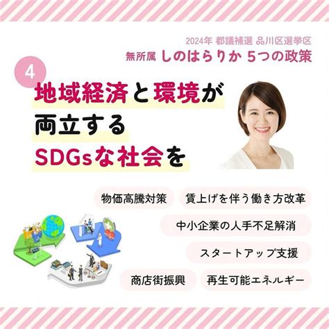 📢しのはらりかの5つの政策④“地域経済と環境が両立するsdgsな社会を”民間企業の会社員を経験 しのはらりか（シノハラリカ